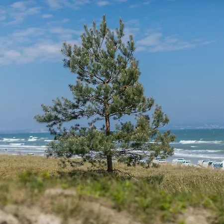 Seeblick Appartement Binz